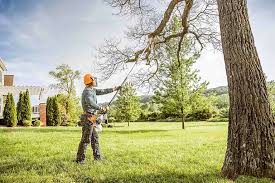Best Leaf Removal  in Christiansburg, VA
